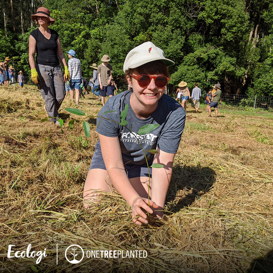 The image captures a vibrant tree planting event in Australia, showcasing volunteers actively participating in reforestation efforts. This initiative is part of Peachii's partnership with Ecologi, emphasizing their commitment to environmental stewardship. Each purchase from Peachii contributes to the planting of native species, helping restore natural habitats and support ecological balance, thereby creating a greener, more sustainable future.