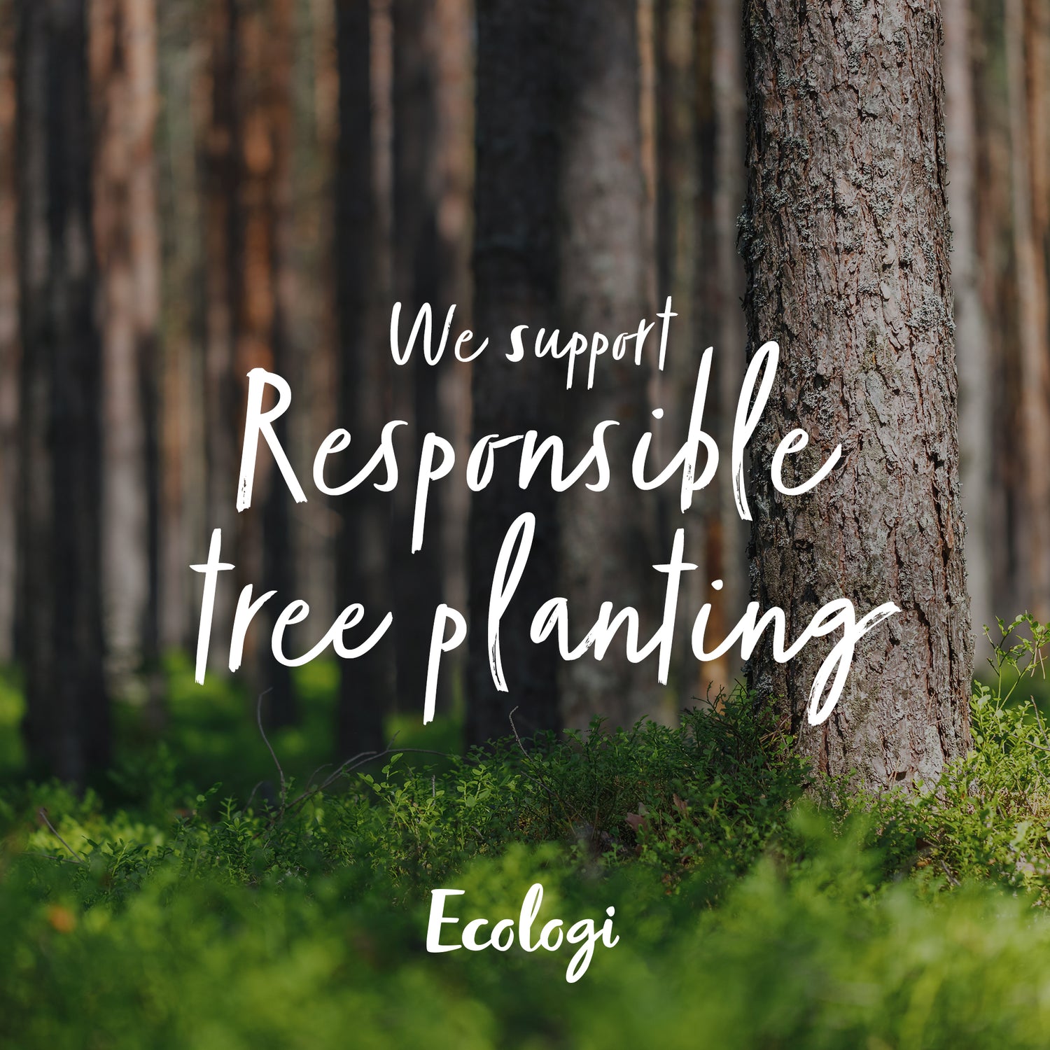 The image highlights a serene forest scene, accompanied by a message about Peachii's commitment to sustainability. It reads: "We support responsible tree planting." In partnership with Ecologi, Peachii ensures that one tree is planted with every order of 'Little Pink', contributing to global reforestation and promoting environmental stewardship.