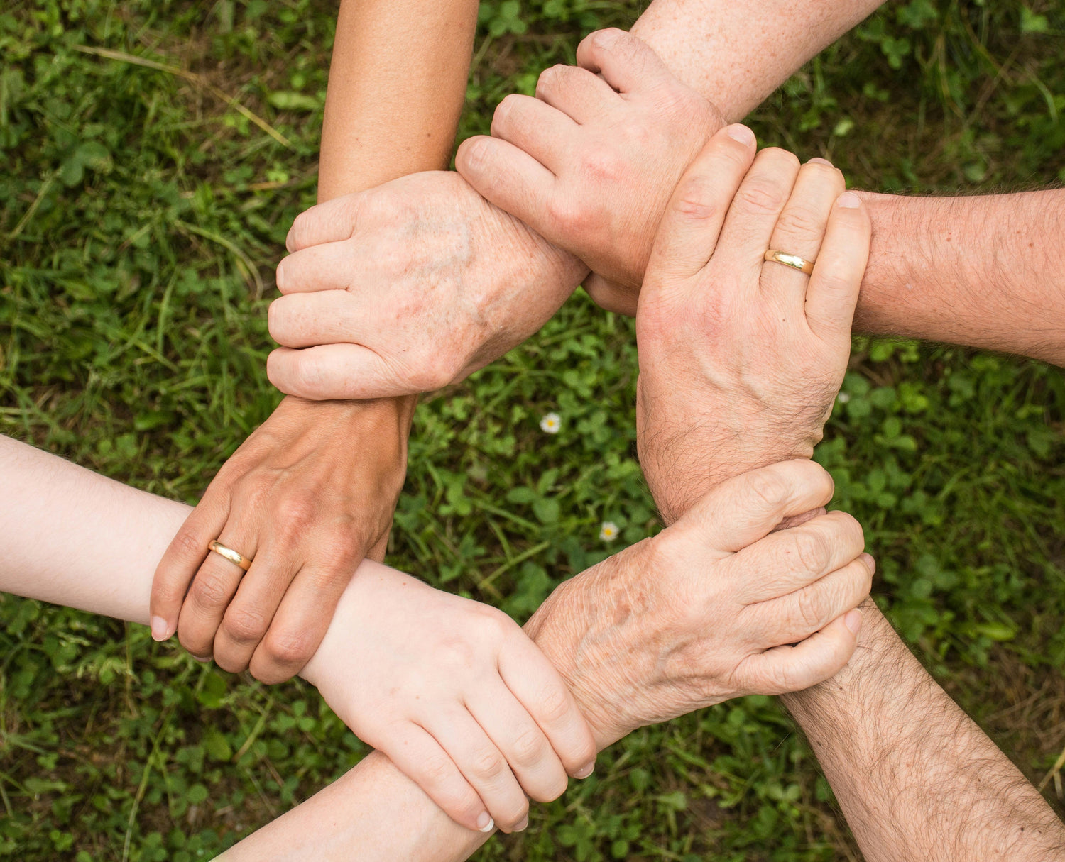 Peachii Help Program (PHP) demonstrates Peachii's commitment to giving back through meaningful partnerships with charitable organizations. By donating 5% of each purchase, they support empowering women in need, environmental conservation, developing women's sports, shaping the future, and supporting female entrepreneurs. This image represents unity and collaboration, symbolizing the impact of the PHP initiative.